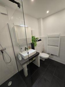 a bathroom with a sink and a toilet and a shower at Maria Apartment 2 in Wolfsburg +6 photos