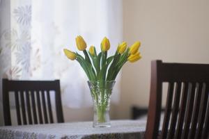 a vase of yellow tulips sitting on a table at Yasmina Hostel in Valga