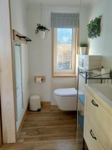a bathroom with a toilet and a sink and a window at Osada Leonówka Bieszczady in Cisna