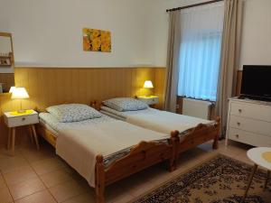 a bedroom with two beds and a television in it at MAGNOLIA Duszniki Zdrój in Duszniki Zdrój