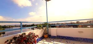 a balcony with two potted plants on a balcony at Gladden Villa in Udaipur