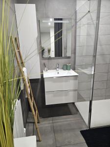 Kúpeľňa v ubytovaní Studio meublé - Comme à la maison + 9 fotografií