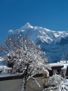 Φωτογραφία από το άλμπουμ του FERIENWOHNUNGEN Chalet Hohturnen στο Γκρίντελβαλντ