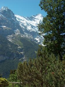 Φωτογραφία από το άλμπουμ του FERIENWOHNUNGEN Chalet Hohturnen στο Γκρίντελβαλντ