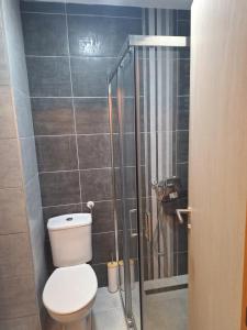 克拉古耶瓦茨Victory的带马桶和淋浴的浴室