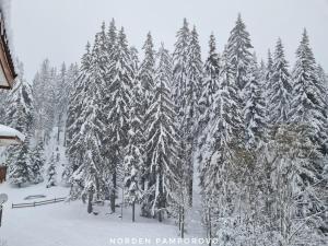 NordenPamporovo v zimě