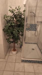 baño con ducha en Marina 68/70, en Cuxhaven 10 fotos más