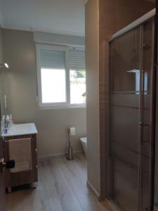 a bathroom with a shower and a sink and a toilet at El Molino de Mateo in Ribamontan al Monte +25 photos