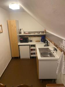 Kuchnia lub aneks kuchenny w obiekcie Penzion & Restaurant Pod Čerťákem
