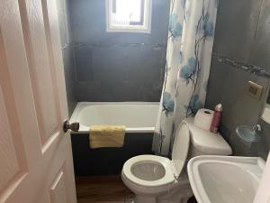 Ένα μπάνιο στο Cabañas Suecia +31 φωτογραφίες