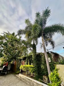Gallery image of Apartament La Ceiba in La Ceiba