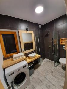 a bathroom with a washing machine and a sink at Bajka w Gliczarowie in Bukowina Tatrzańska