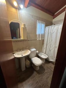 シエラ・デ・ラ・ベンターナにあるCabañas Ojo de Aguaのトイレ、洗面台、シャワー付きのバスルーム