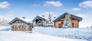 Inuksuk Lodge - 4800 sq ft of Big White Excellence! v zimě