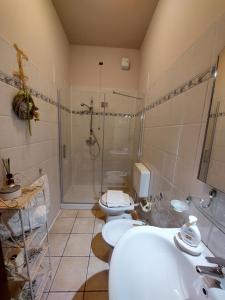a bathroom with two toilets and a shower and a sink at Agriturismo Dinoabbo Ulivi in Lucinasco +33 photos
