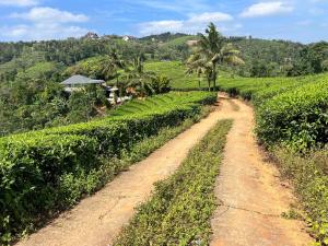 Fotografie z fotogalerie ubytování Tea Harmony Bunglow v destinaci Vagamon