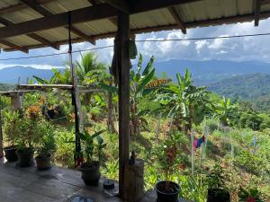 a view from the porch of a house with plants at Salawin Fruit Jungle Farmstay in Ban Sob Moei