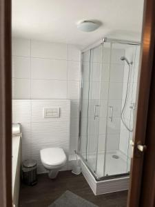 a bathroom with a toilet and a glass shower at Hotel Bären Amriswil in Amriswil