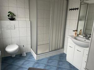 a bathroom with a toilet and a sink and a shower at Hotel Bären Amriswil in Amriswil