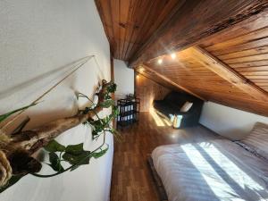 Billede fra billedgalleriet på Maison de Vacances i Le Thillot + 12 billeder