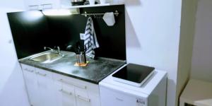a small kitchen with a sink and a counter at Pula-Center Apartments and Rooms in Pula
