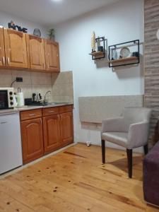 Eldhús eða eldhúskrókur á Simic Apartmani Tara