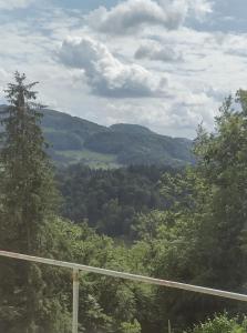 a view of a valley with trees and mountains at Holidayapartement Sentjur 2 pers in Šentjur