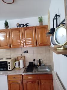 Eldhús eða eldhúskrókur á Simic Apartmani Tara