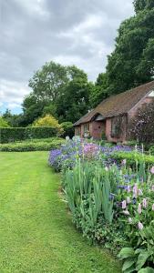 Long Cover Cottage في تينبوري: حديقة بها زهور أرجوانية وأرجوانية بجوار مبنى +29 صورة