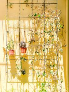 a group of potted plants on a wire fence at Casa Coronel in Mendoza