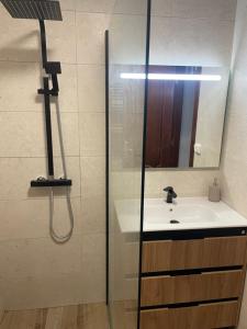 Koupelna v ubytování Apartamento en el Paseo de Manuel Noriega, Nº 9, con jardín privado, Wifi, en Comillas