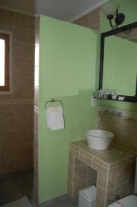 Baño verde con lavabo y espejo en Hosteria Los Canelos en El Calafate