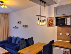 Kuchyň nebo kuchyňský kout v ubytování VIP Apartment Belvedere Club