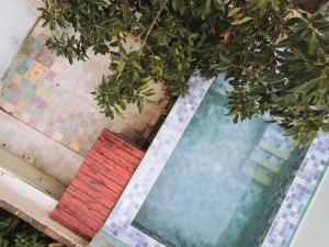 a view of a pool with a tree at Nido, Los Colibríes VI in Tigre