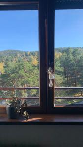 Priroda u blizini apartmana