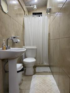 a bathroom with a toilet and a sink and a shower at Alexander b&b in Alajuela +50 photos