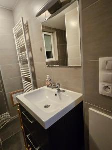 a bathroom with a white sink and a mirror at Bienvenue chez Angèle Homes 1 in Niederbronn-les-Bains