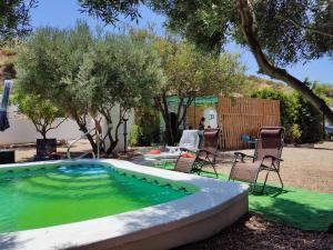 a pool with chairs and trees in a yard at Cortijo casa rural "La cueva " in Almería