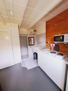 Η κουζίνα ή μικρή κουζίνα στο Le Chantegrillet Grand Studio Quiet Garden +13 φωτογραφίες