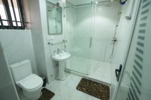 a bathroom with a shower and a toilet and a sink at Oyarifa Serenity 340 in Accra +24 photos