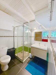 une salle de bain avec une douche, des toilettes et un lavabo dans l'établissement Location saisonnière dans résidence avec piscine, à Les Trois-Îlets