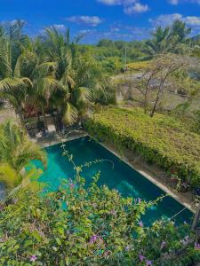 een bovenaanzicht van een zwembad met palmbomen bij Hotel Jaiba Mahahual - Adults Only in Mahahual