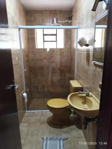 ein Badezimmer mit Dusche, Toilette und Waschbecken in der Unterkunft Chácara Serra Negra in Serra Negra