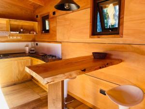 Η κουζίνα ή μικρή κουζίνα στο Caburgua Bella Vista +15 φωτογραφίες