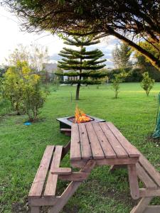 Giardino di Apricot Hotel