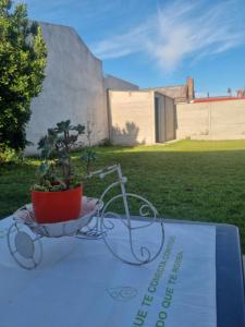 a plant in a pot sitting on top of a table at Tu descanso en Coronel Suarez in Coronel Suárez