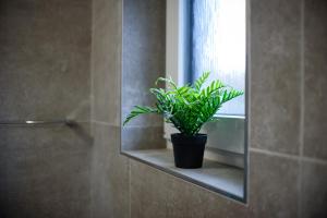 Fotografie z fotogalerie ubytování Apartmány Volavka 1 v Plané nad Lužnicí