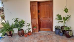 a wooden door with a bunch of potted plants in front at Colinas de Sama in Tomatas