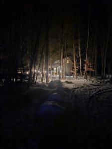 Φωτογραφία από το άλμπουμ του Tiny Home Bliss σε Harcourt