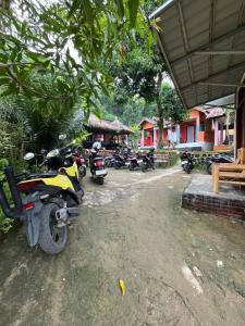 Perwita Homestay外面的花园